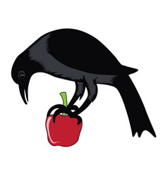 Indian Raven Crow Sitting On An Apple Hand Drawn