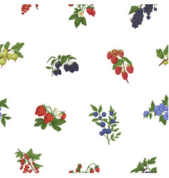 Seamless Pattern With Mix Of Berry Branches