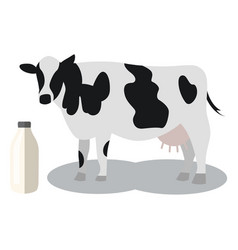 Cow Milk Animal