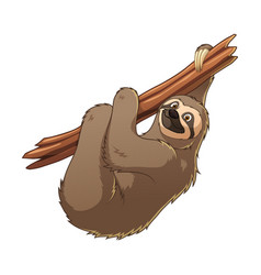 Sloth Cartoon Animal