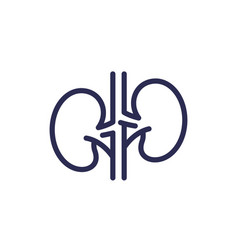 Kidneys Nephrology Line Icon