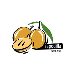 Drawn Sapodilla On A White Background