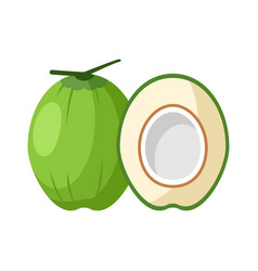 Coconut Flat Design Clip Art