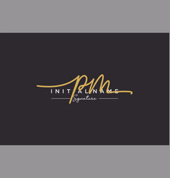 Initial Pm Signature Logo Template Hand Drawn