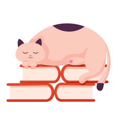 Cat Character Sleeping On Books Kitten