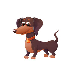 Cute Dachshund Puppy Standing And Smiling In