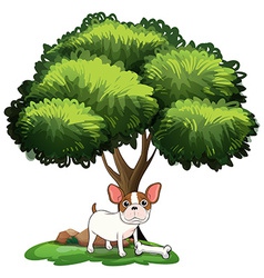 Dog Under Tree