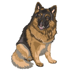 Color sketch black dog german shepherd breed Vector Image