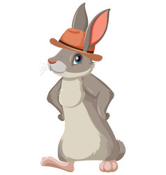 Cute Bunny Wearing Hat