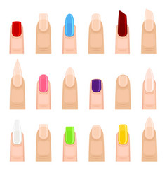 Nail Shape Type With Different Manicure Big