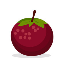 Mangosteen Fruit Flat Icon