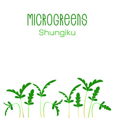 Microgreens Shungiku Seed Packaging Design