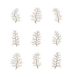 A Set Of Brown Trees Or Branch Without Leaves