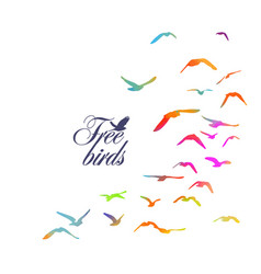 A Flock Of Colored Birds Not Ai