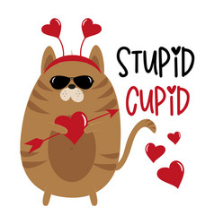 Stupid Cupid - Funny Phrase With Cupid Cat