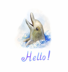 Dolphin In Water Watercolor Cute And Funny