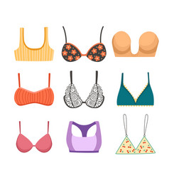 Set Types Of Bras Lingerie Or Underwear Sheer Bra