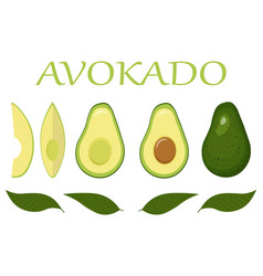 Avocado Set With Leaves