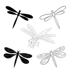 Dragonfly Icon