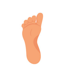 Left Foot Soles For Footwear Shoe