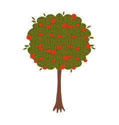 Green apple tree full of red apples isolated Vector Image