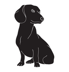 Dachshund Dog Black