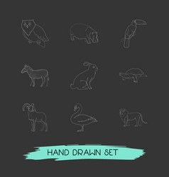 Set Of Zoo Icons Line Style Symbols With Ovis