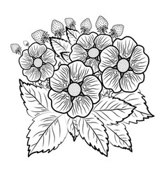 Strawberry Plant Engraving