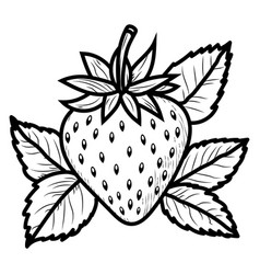 Strawberry With Leaves Sketch