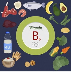 Vitamin b1 or thiamin infographic vitamin b1 or Vector Image