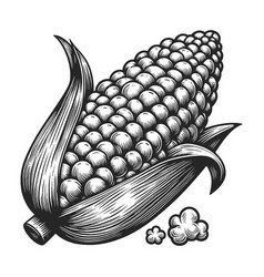 Engraved Corn Cob