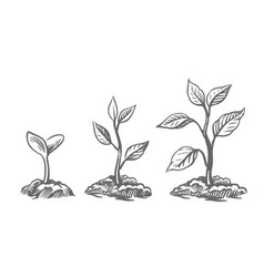 Growing Young Plant Hand Drawn Sketch Style