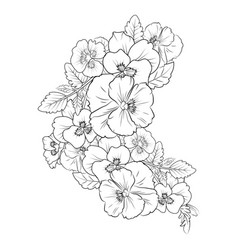 Pansy Flower Drawing Easy Purple Pansies