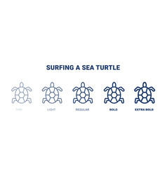 Surfing A Sea Turtle Icon Thin Light Regular Bold