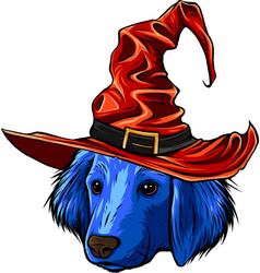 Ttle Dog Cartoon In A Witch Hat