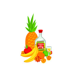 Tropical Fruits And Tequila Bottle With Shot Glass