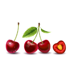 Realistic Cherry Berries Composition