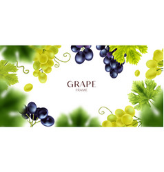 Realistic Grape Frame Composition