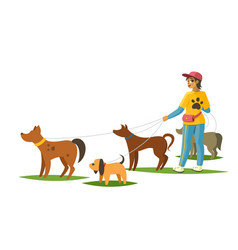 Dog Walker With Dogs Banner