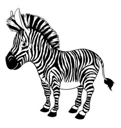 Black And White Cartoon Zebra