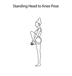 Standing Head To Knee Pose Yoga Workout Outline