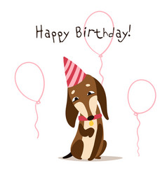 Dachshund Celebrates A Birthday On The Background