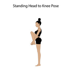 Standing Head To Knee Pose Yoga Workout