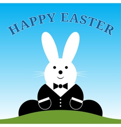 Sitting Smiling Easter Bunny With Suit And Text