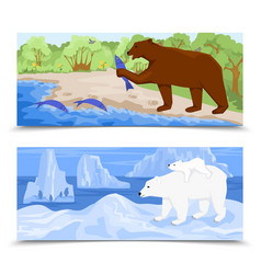 Grizzly Bears Flat Banners