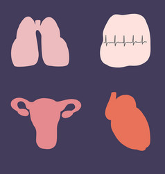 Internal Organs Clipart Uterus Lungs Heart