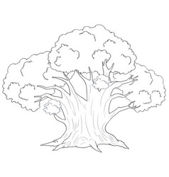 Black And White Line Drawing Of A Large Tree