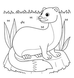 Weasel Animal Coloring Page For Kids