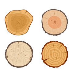 Cartoon Tree Trunk Cuts Round Pine Birch Or Oak