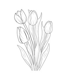 Botanical Tulip Tulip